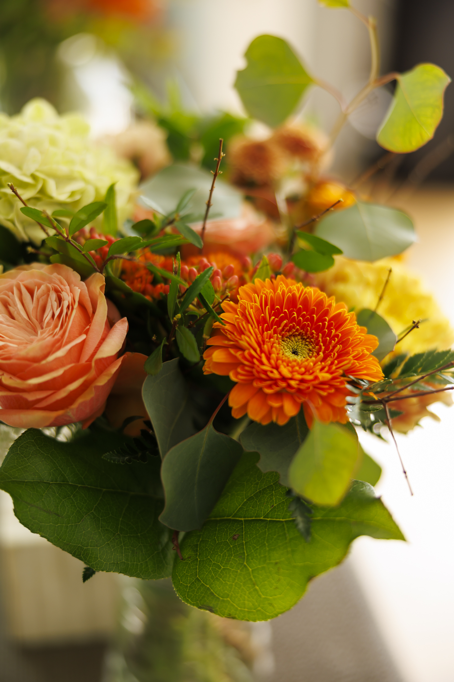 Image gallery image